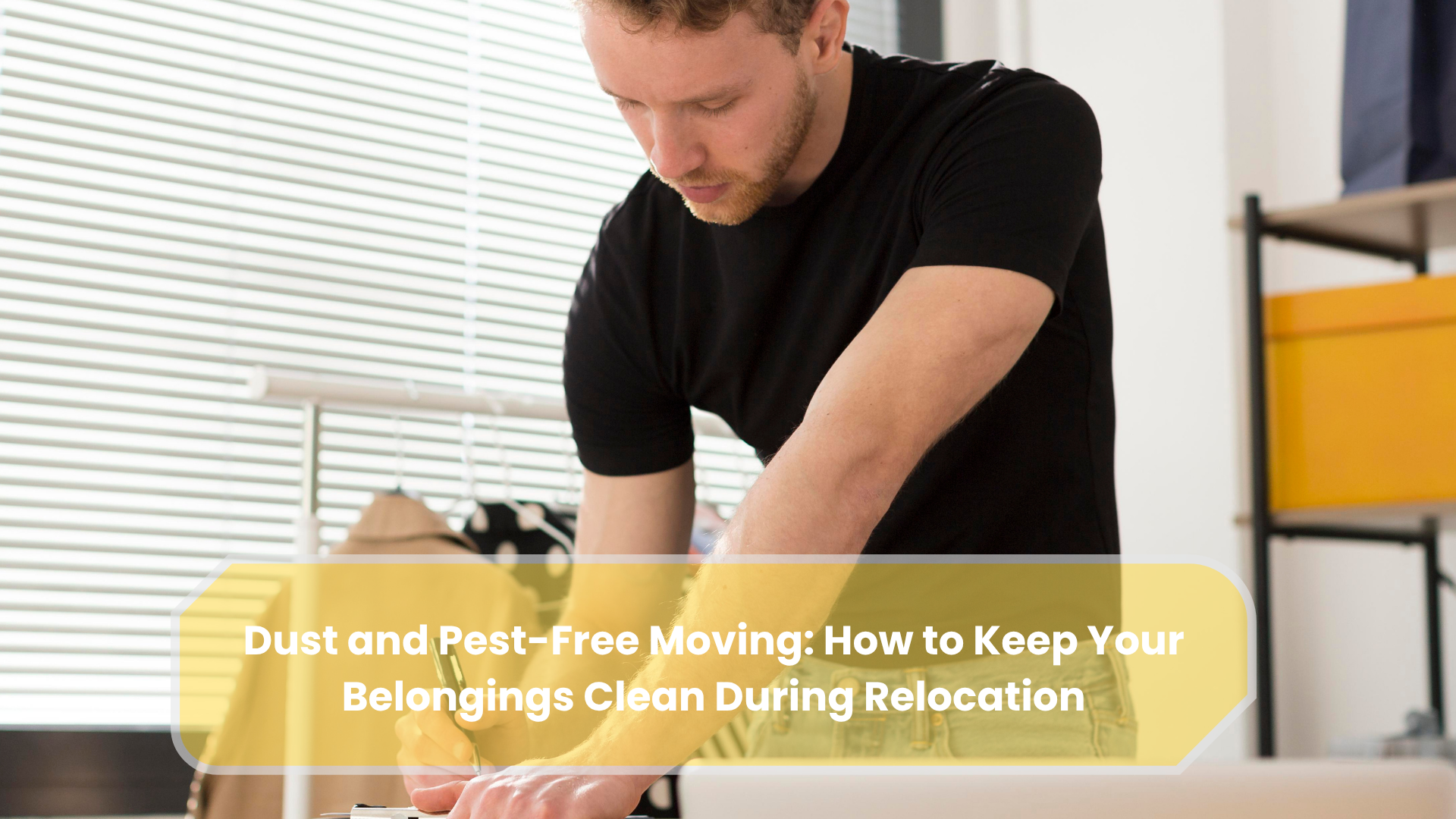 Dust and Pest-Free Moving How to Keep Your Belongings Clean During Relocation