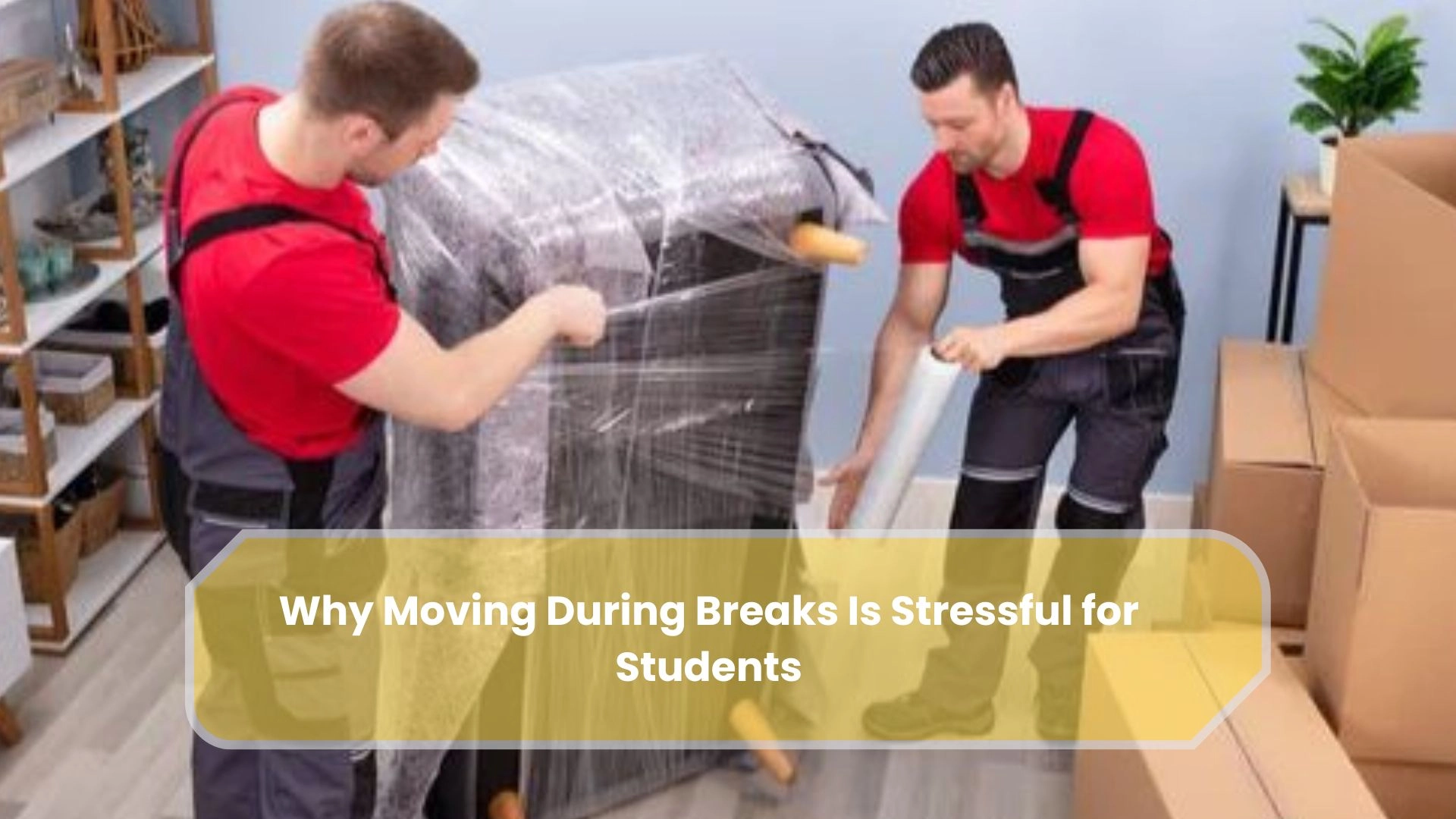 Why Moving During Breaks Is Stressful for Students