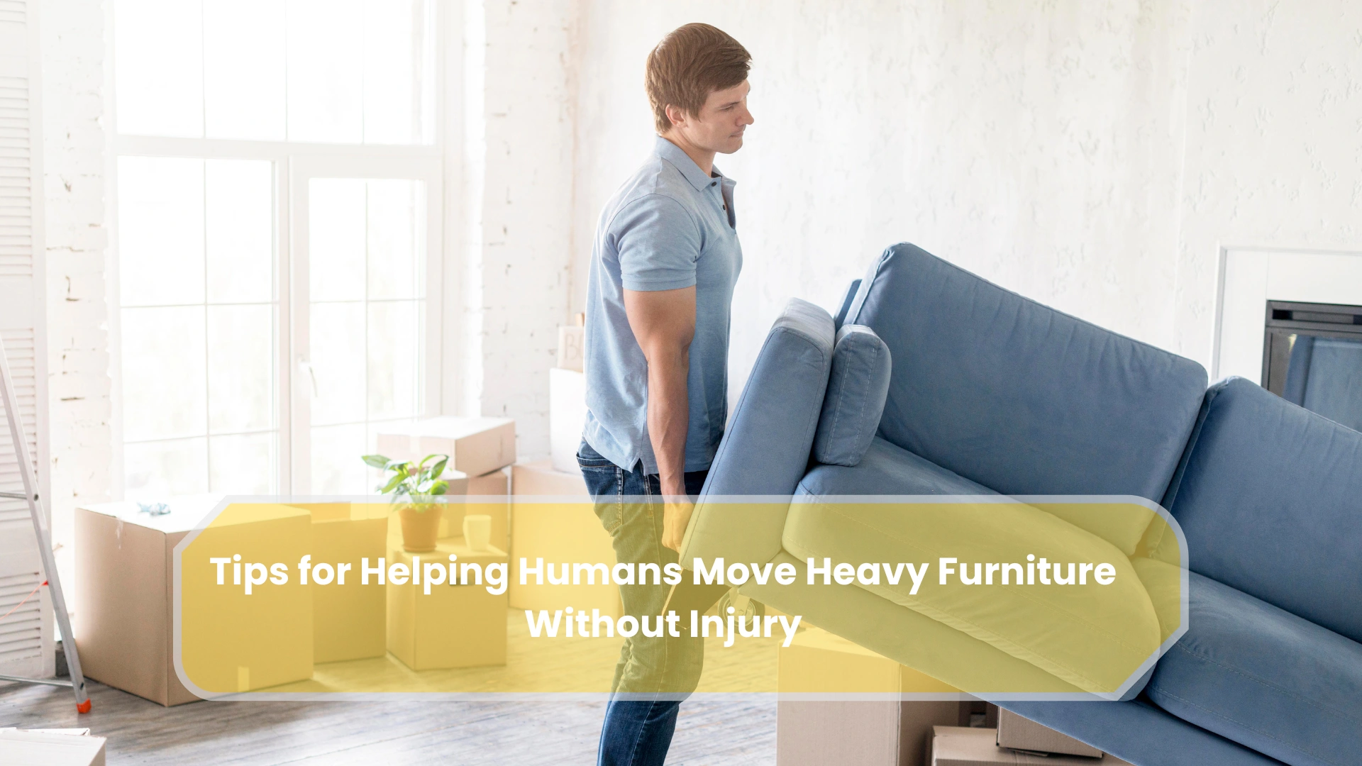 Tips for Helping Humans Move Heavy Furniture Without Injury